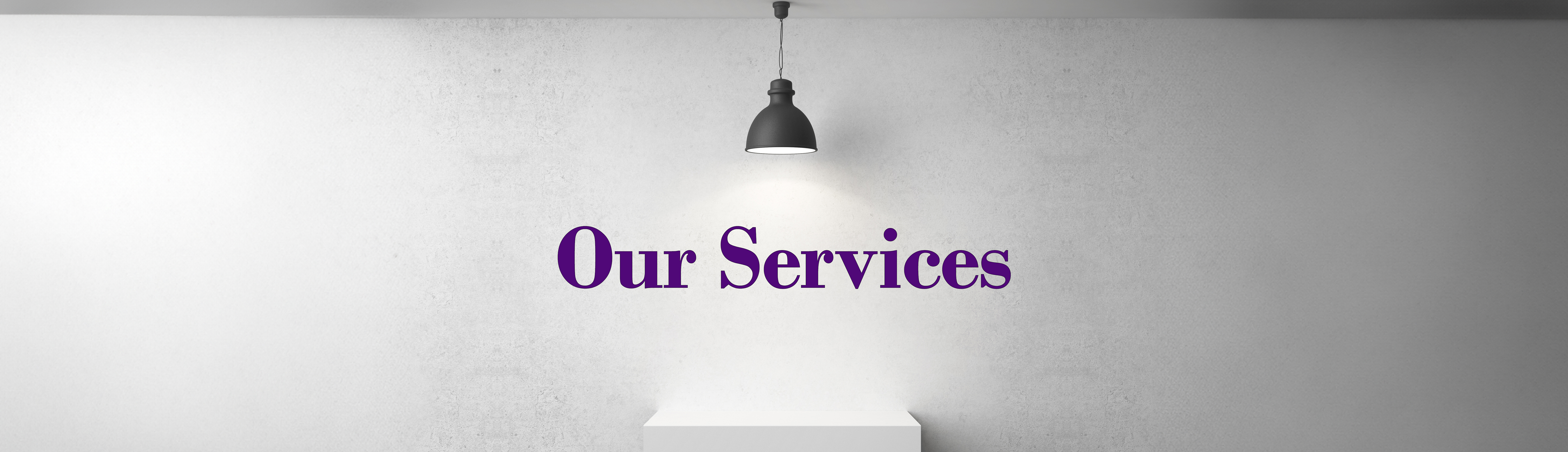 our services banner